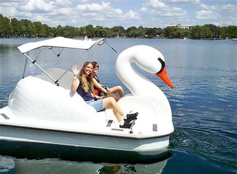 You Can Now Rent Swan Paddle Boats At Humboldt Park | Wheel Fun Rentals