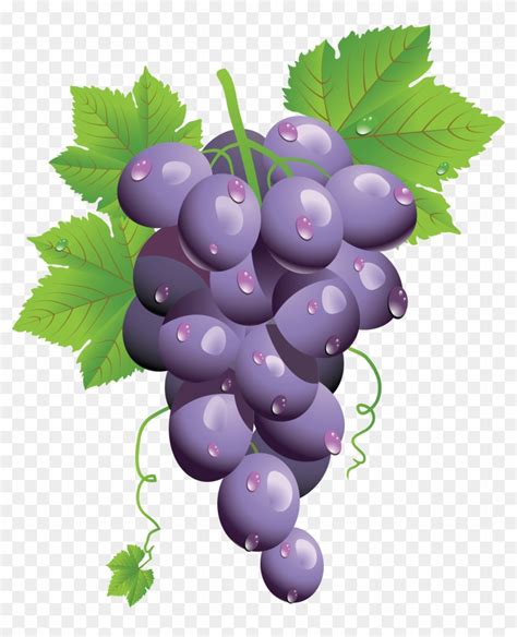 Grape Png Image - Grapes Png, Transparent Png - 2976x3526(#265020 ...