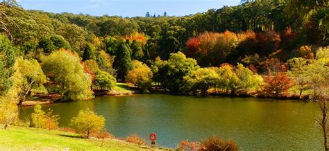 Adelaide, Autumn and the Mount Lofty Botanic Gardens - Australia by Red ...