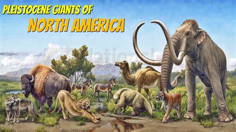 Extinct Pleistocene Megafauna of North America - YouTube