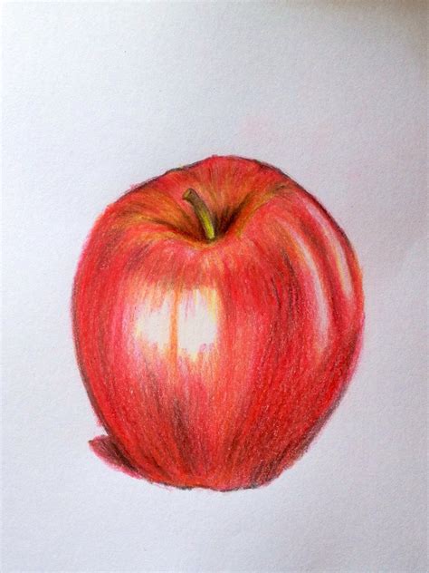 How to draw a realistic apple with colored pencils. | Apple pencil ...