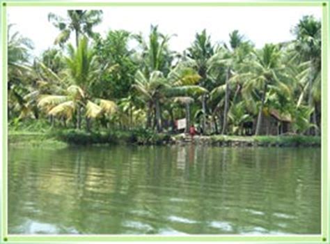 Cochin Backwaters - Kochi Backwaters - Cochin Kerala Back Waters ...