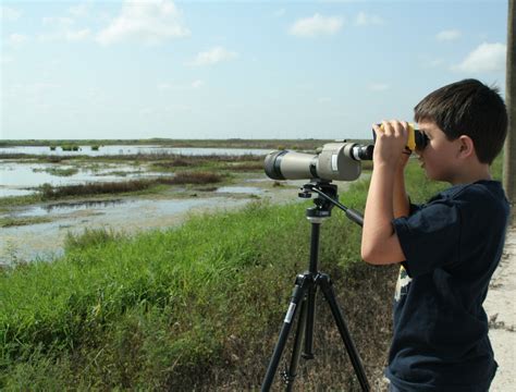 The Great Florida Birding and Wildlife Trail - Fish & Wildlife ...