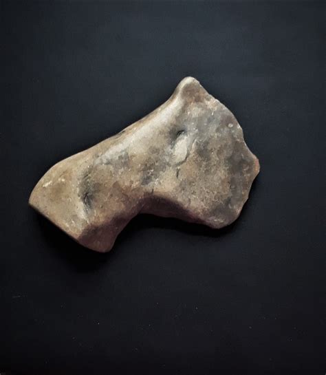 Paleo Indian Artifacts for sale | Only 4 left at -75%