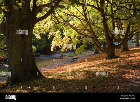 Harrogate valley gardens hi-res stock photography and images - Alamy