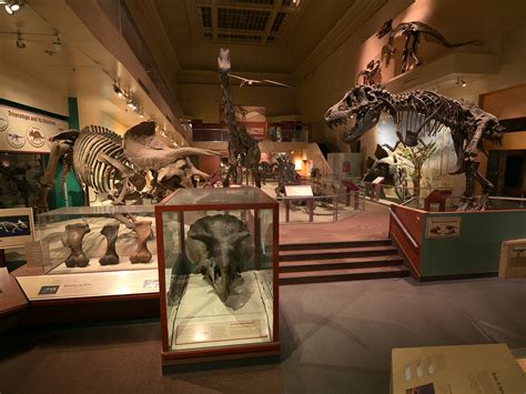 Nation's T. rex: Dinosaur and Fossil Hall | Smithsonian Institution