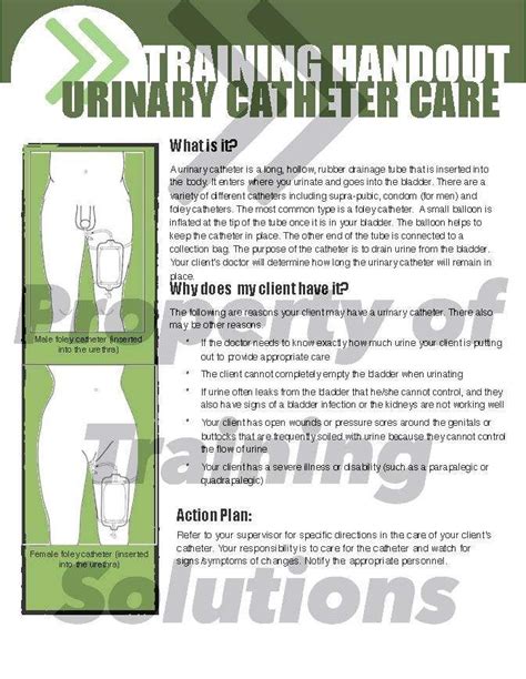 Active Learning Template Nursing Skill Urinary Catheter