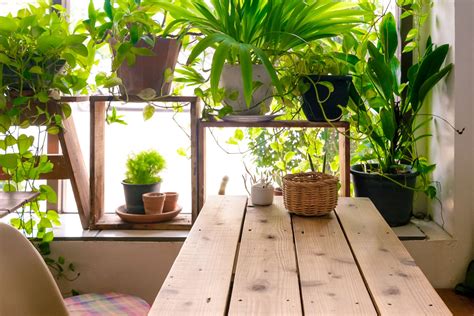 How To Start An Indoor Garden Room