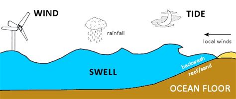 How is a wave formed? Understanding Swell and Surf Forecasts