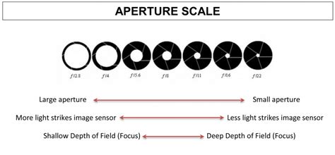 Photography tips for Aperture | Aperture photography, Aperture, Depth ...