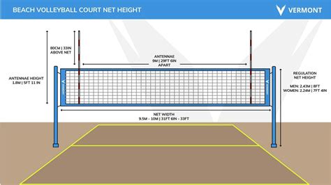 Picture Of Volleyball Court With Labels