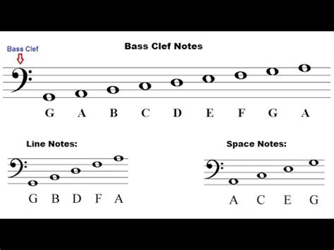 Treble and Bass Clef Notes Explained: What Are Clefs in Music?