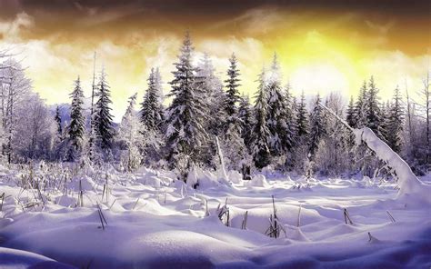 Winter Wallpaper Desktop | WhatsPaper