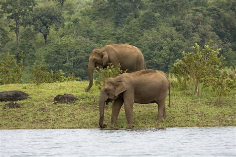 Rajasthan Wildlife Tour : Jungle Trip in Rajasthan