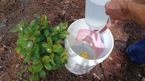 Effective Homemade Deer Repellent | Deer repellant, Repellent, Deer