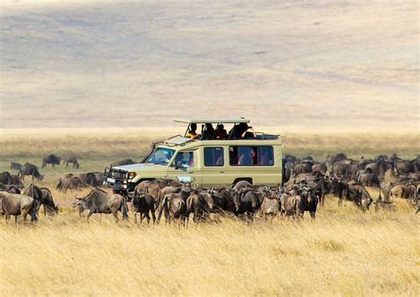 Landscape & Vegetation of Serengeti National Park | Serengeti Park