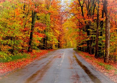 Autumn Road | This colorful photograph was taken on a back c… | Flickr