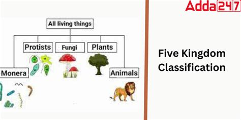 Five Kingdom Classification: Features, Examples, Characteristics, Advantage