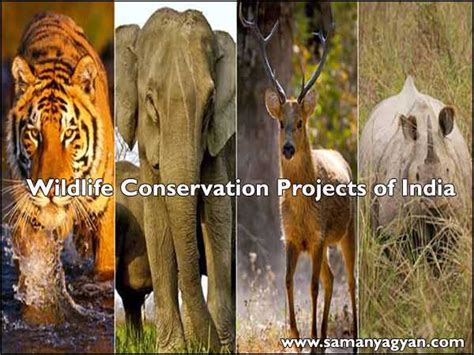 List of Wildlife Conservation Projects of India | SamanyaGyan