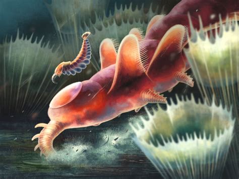 Fossils of Two Bizarre Ordovician Animals Found in Wales | Sci.News