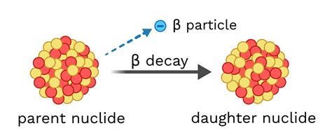 Beta Decay - Labster Theory