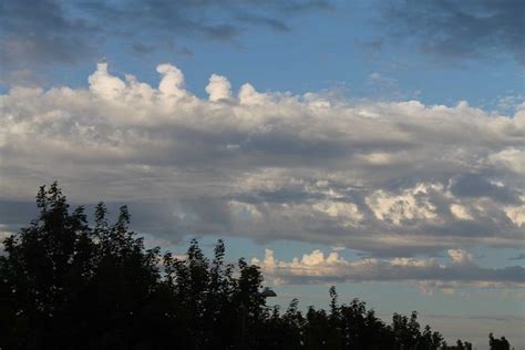 Altocumulus castellanus | Cloud atlas, Clouds, Species