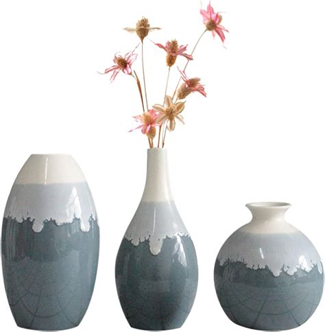 Amazon.com: Anguipie Ceramic Vase Set of 3, Small Vases for Home Decor ...