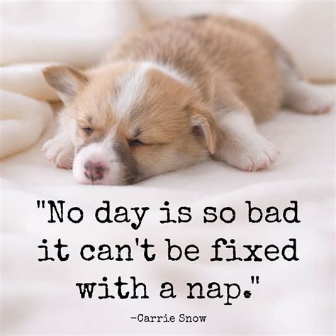 #wordsofwisdom #sleep Nap Quotes, Sleep Quotes, Funny Quotes, Quotable ...