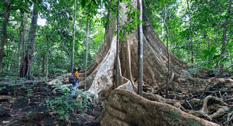 Explore Vietnam’s Unforgettable Hiking Trails - Tripfany Travel