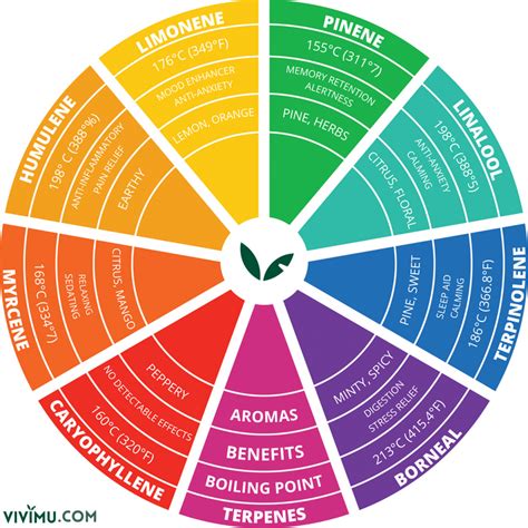 Terpene Chart: Learn More About Terpenes Here | Vivimu