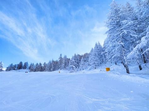 Bardonecchia Ski Resort Guide | Snow-Forecast.com