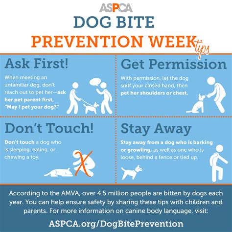 It's Dog Bite Prevention Week: Read Our Safety Tips | ASPCA