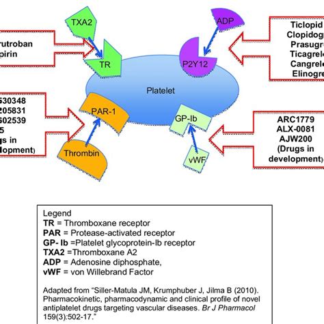 Mechanism Of Action Of Antiplatelet Drugs