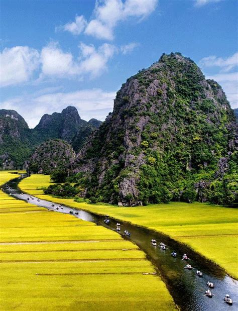 Cuc Phuong National Park, Vietnam: | Cuc phuong national park, National ...