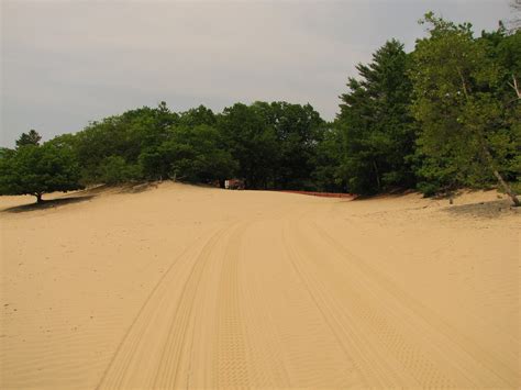 Free Images : beach, landscape, nature, sand, road, desert, dune, green ...