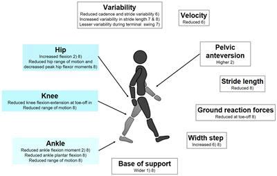 Frontiers | Could Gait Biomechanics Become a Marker of Atypical ...