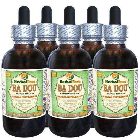 Ba Dou (Croton tiglium) Glycerite, Dried Seeds Alcohol-FREE Liquid ...