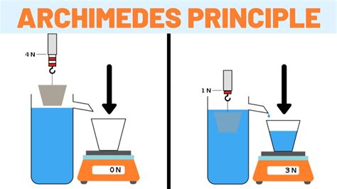 Archimedes Principle Diagram