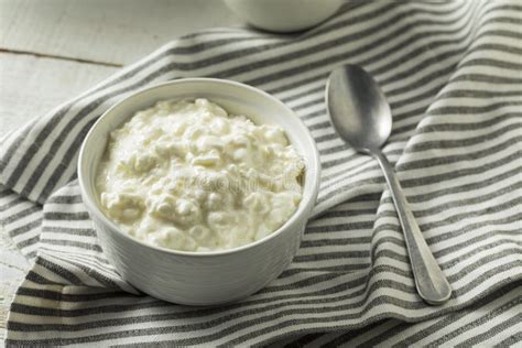 Homemade Low Fat Cottage Cheese Stock Image - Image of milk, cream ...