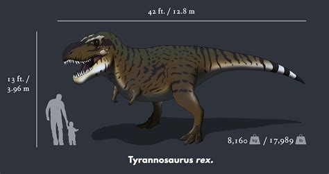 Tyrannosaurus Rex Size Chart (1) | Images :: Behance