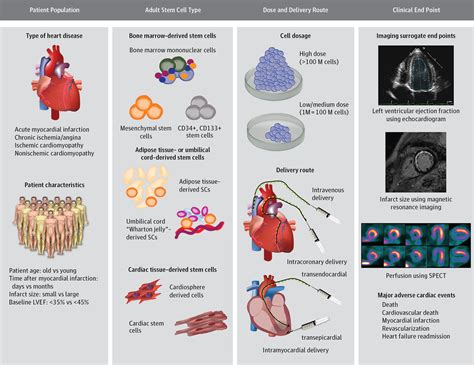 Adult Stem Cell Therapy and Heart Failure, 2000 to 2016: A Systematic ...