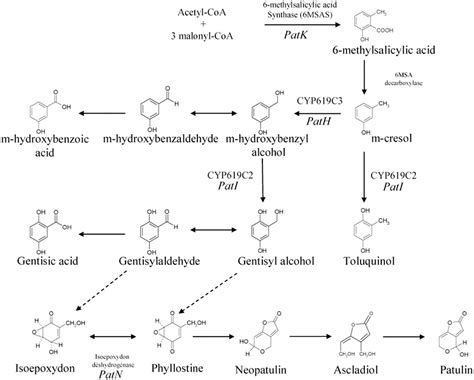 Critical review of the analytical methods for determining the mycotoxin ...