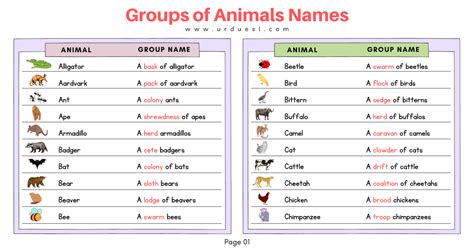 List of Groups of Animals Names with Images and Download Pdf