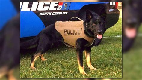 PHOTOS: Local police K9 receive protective vests | wcnc.com