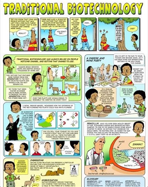 All About Biotechnology: Traditional Biotechnology Vs New Biotechnology