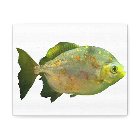 Rosecliff Heights Green Fish - Unframed Painting on Canvas | Wayfair