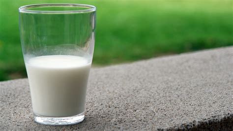 5 Raw Milk Tips: Advice for Transitioning to Farm-Fresh Milk - Rachel's ...