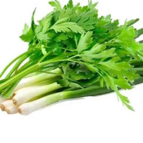 Jual Daun Bawang Pre / Daun Sop 1 ons | Shopee Indonesia