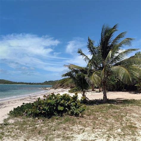 Columbus Landing Site in Christiansted, Virgin Islands, U.S. (Google Maps)