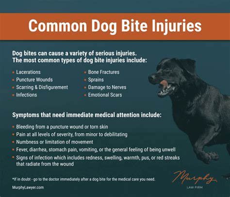 How Serious is My Dog Bite Wound? - Murphy Law Firm